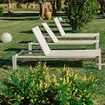 Gli Ulivi Di Gino