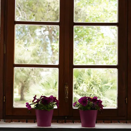 Gli Ulivi Di Gino Bed & Breakfast