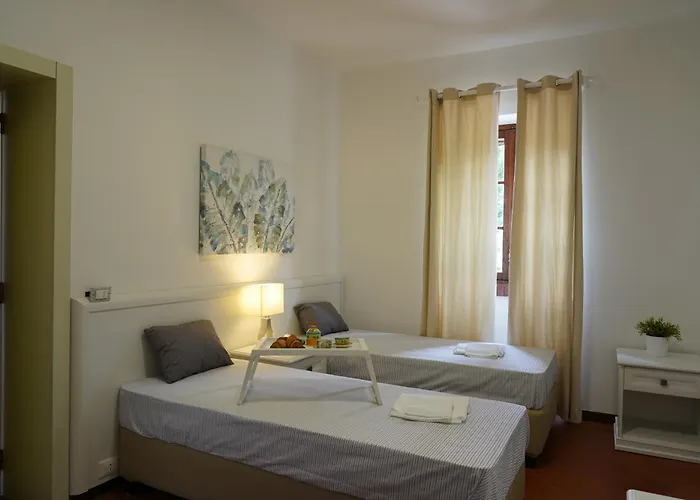Gli Ulivi Di Gino * Sanarica