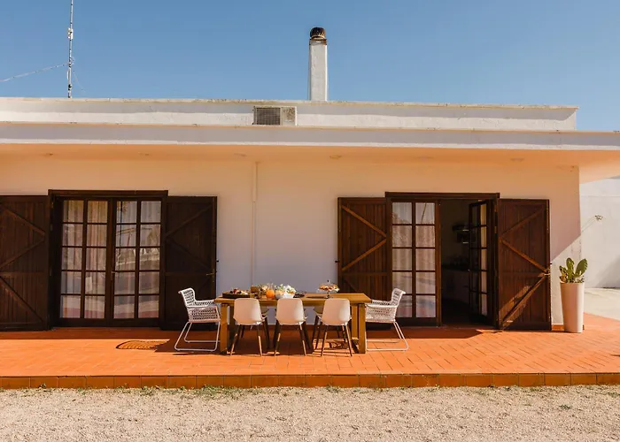 Gli Ulivi Di Gino Hébergement de vacances