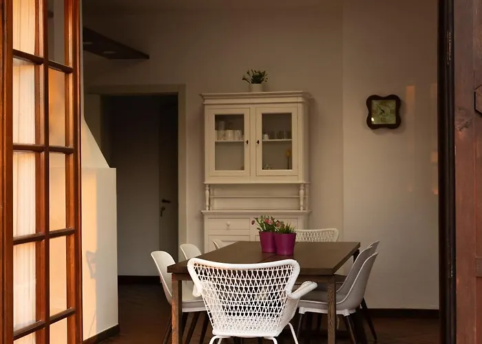 Gli Ulivi Di Gino *