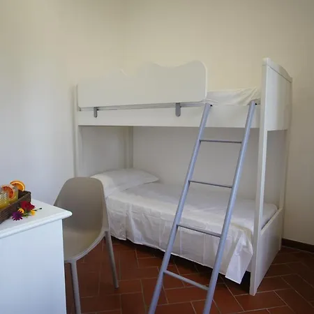 Gli Ulivi Di Gino