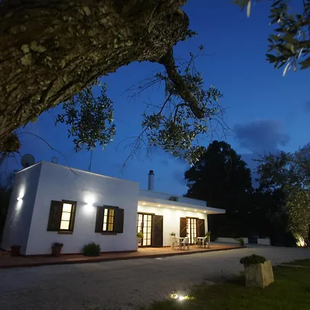 Gli Ulivi Di Gino Villa