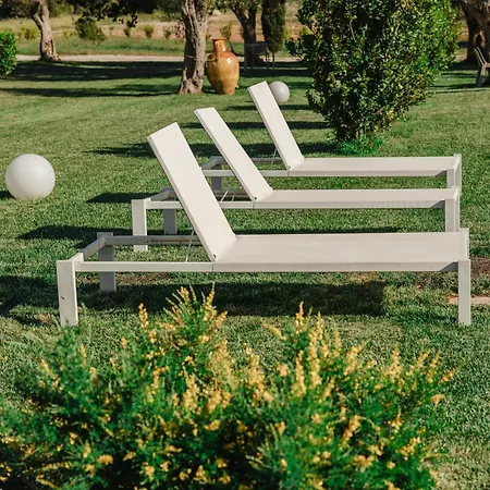 Gli Ulivi Di Gino