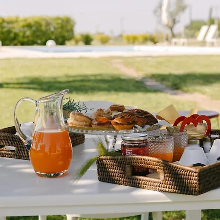Gli Ulivi Di Gino Bed and Breakfast